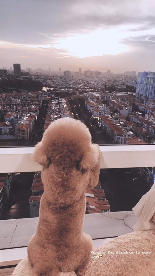 Diễm My chia sẻ góc nhỏ trong căn nhà giờ đã không còn bóng mẹ khiến nhiều người xót xa