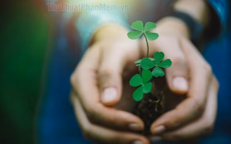 Tử vi 12 cung hoàng đạo 18/6: Bạch Dương may mắn, Thiên Bình tình yêu trắc trở