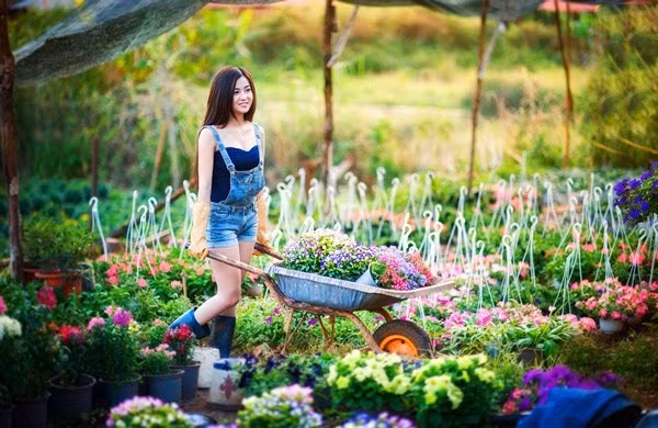 Từ nay tới Tết dương lịch có 5 đợt không khí lạnh tăng cường, đề phòng cơn bão số 10