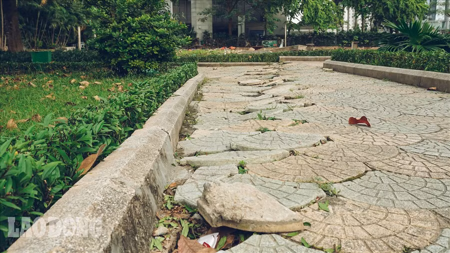 Tuy nhiên thời gian gần đây, công viên Indira Gandhi đang có những biểu hiện xuống cấp.