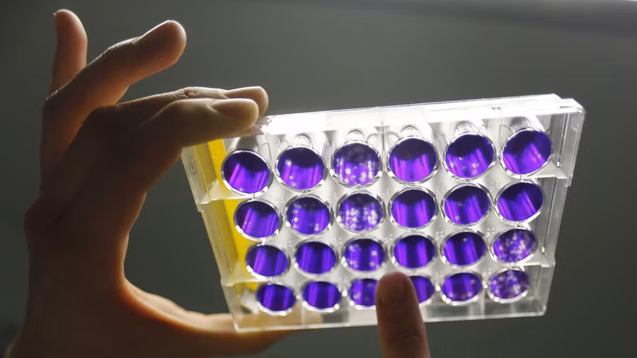 Cơ quan chỉ đạo các dự án nghiên cứu quốc phòng tiên tiến Mỹ (DARPA) đang có mục tiêu nhắm vào việc ngừng đồng hồ sinh học để trị thương cho binh sĩ. Ảnh: RT