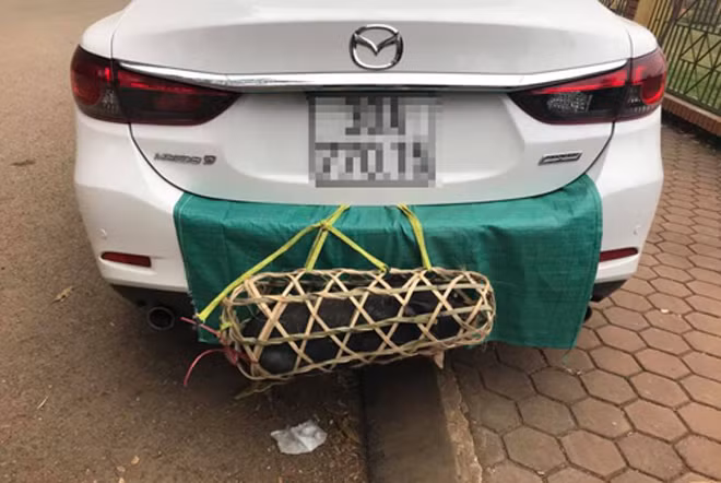 Muôn kiểu quà quê lên phố sau mỗi kỳ nghỉ lễ hình ảnh 1 muon kieu qua que len pho sau moi ky nghi le hinh anh 1