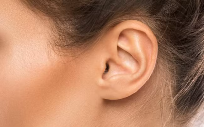 7 bộ phận trên cơ thể dù bạn vẫn kì cọ hàng ngày nhưng chưa chắc đã làm đúng: Đây mới là điều cần làm để sạch sẽ - Ảnh 5.