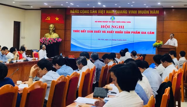 Hội nghị thu hút sự tham gia của đông đảo đại biểu. Ảnh: HNV