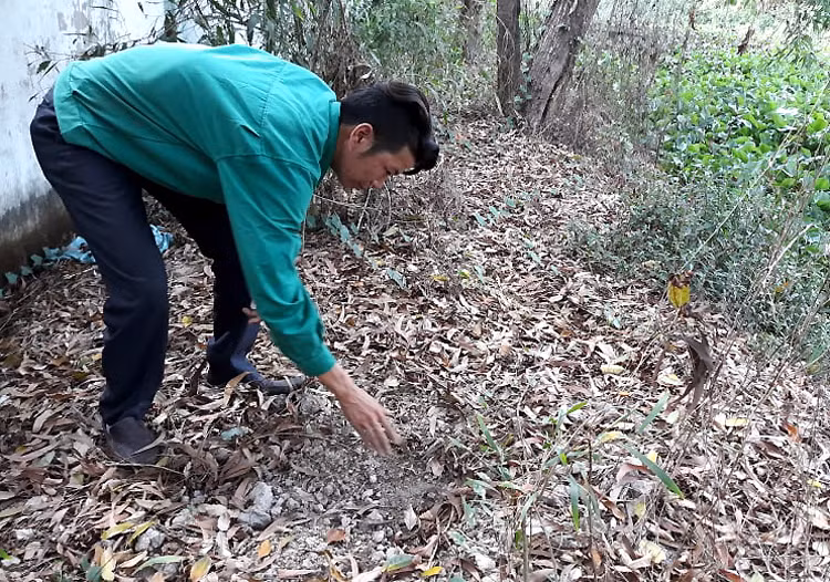 Công nhân nhà máy chỉ nơi chôn cất hơn 300 xác thai nhi trong khuôn viên nhà máy. Ảnh: Hoàng Hạnh.