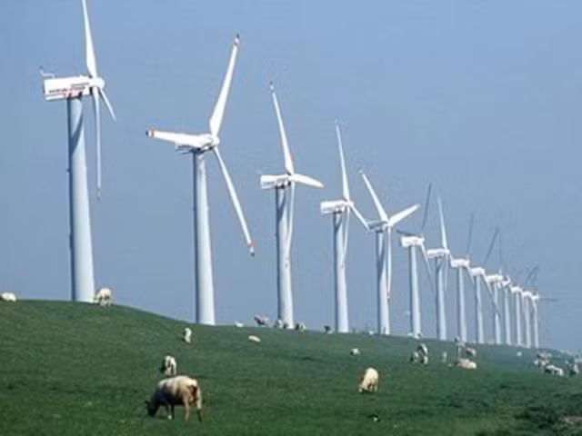 Sử dụng năng lượng tái tạo trong sản xuất điện là một giải pháp đang được chú trọng Sử dụng năng lượng tái tạo trong sản xuất điện là một giải pháp đang được chú trọng