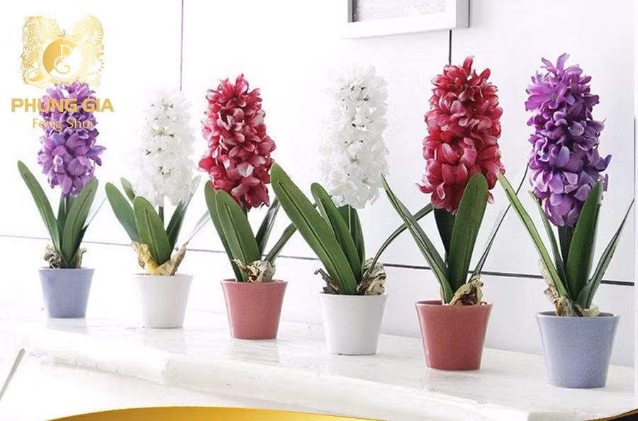 Đẹp đến mấy cũng không đặt cây, hoa kiểu này tránh xui xẻo, rước bệnh cho gia đình ảnh 2