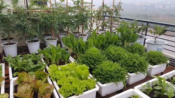 8 mẹo giúp nhà mát lạnh không cần điều hòa ngày nắng 40 độ