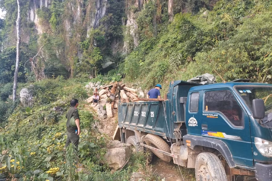 Khu vực rừng bị chặt phá tại bản Trường Sơn, xã Nậm Cắn.