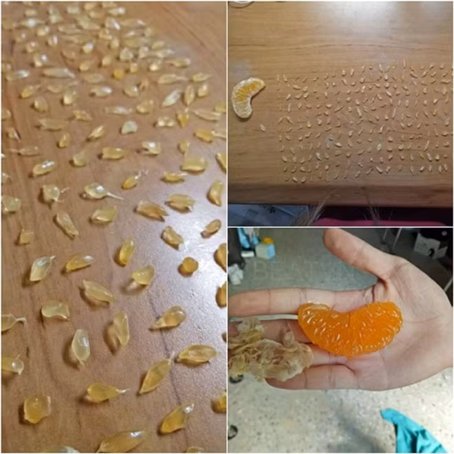 Không thể nhịn cười với những màn bóc tách đồ ăn của các nàng tấm rảnh việc nhất hệ mặt trời - Ảnh 7.