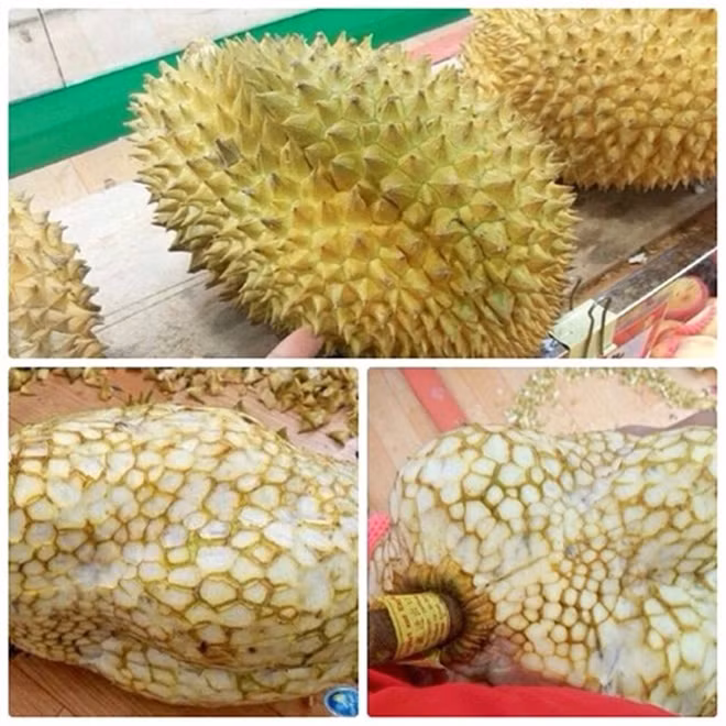 Không thể nhịn cười với những màn bóc tách đồ ăn của các nàng tấm rảnh việc nhất hệ mặt trời - Ảnh 8.