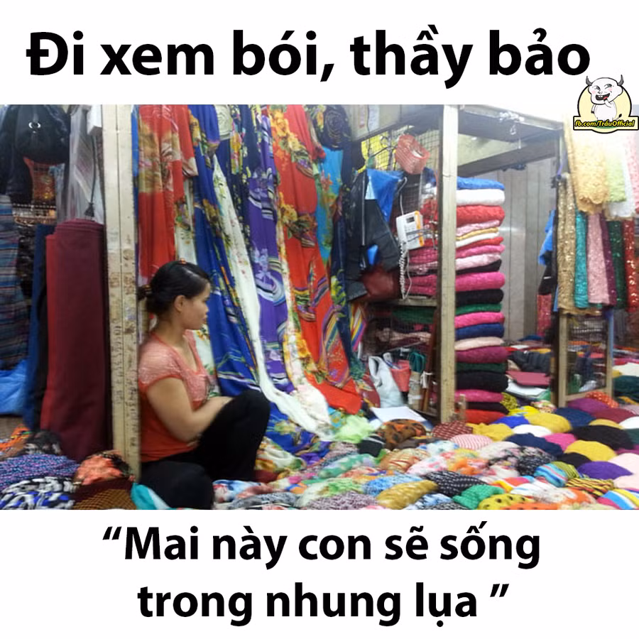 Thầy phán đúng quá!