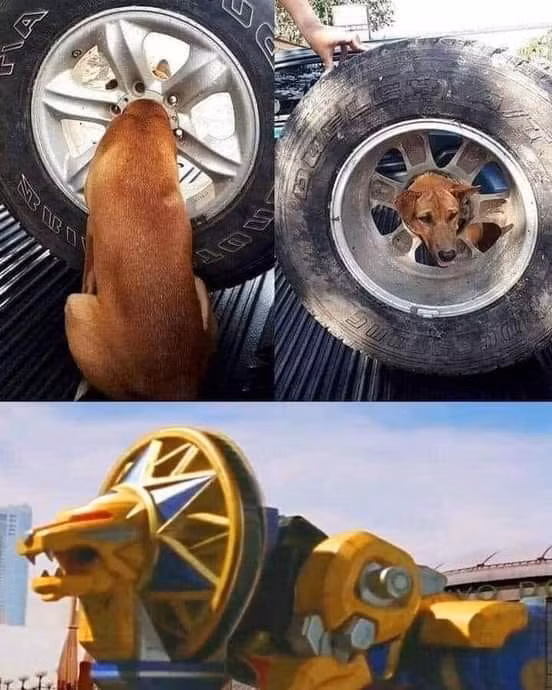Như thế này đã giống nhân vật huyền thoại chưa?