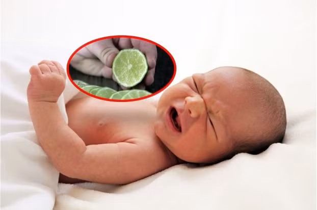 Khi vắt chanh vào miệng bé, đặc biệt những bé sơ sinh, con có thể bị tím tái do đóng nắp thanh môn, do hít sặc nước cốt chanh vào phổi và gây viêm phổi.