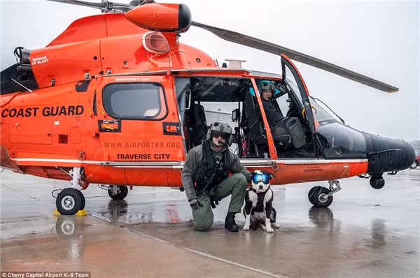 K9 Piper&nbsp;và các phi công trong một ngày mưa. (Ảnh: Internet)