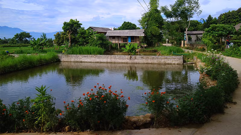 Đẹp nao lòng những con đường rực rỡ sắc hoa ở Yên Bái