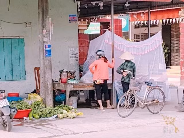 Lạ lùng cảnh căng màn bán thịt