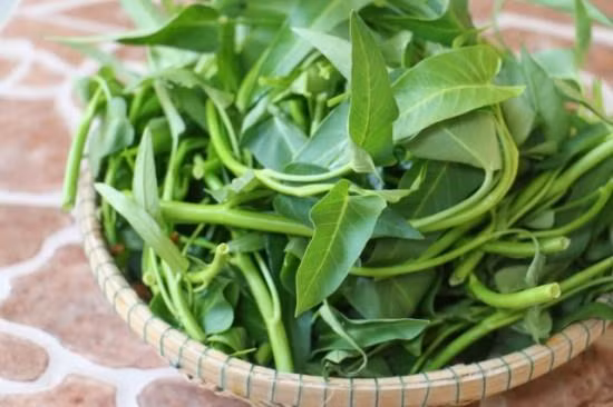 3 sai lầm cần lưu ý khi ăn rau muống nhiều gia đình hay mắc phải 