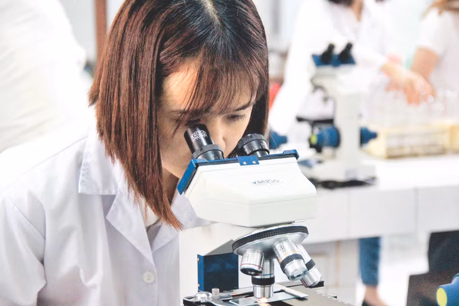 Việt Nam cũng nên xếp hạng các trường ĐH ở trong nước. Ảnh: Minh Phong 