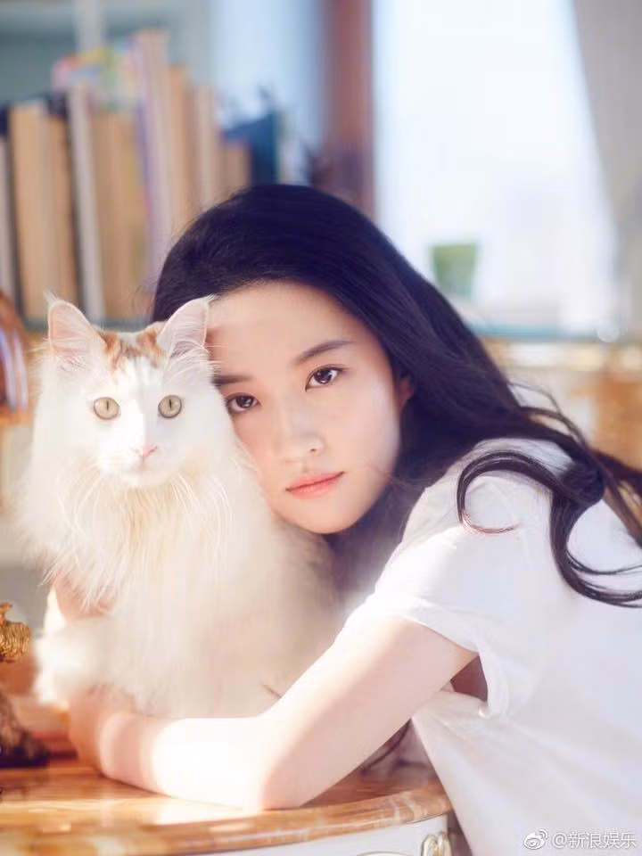 Là đại mỹ nhân, nhưng chỉ vì điều này mà Lưu Diệc Phi bị cho là xấu nhất nhà ảnh 11 Là đại mỹ nhân, nhưng chỉ vì điều này mà Lưu Diệc Phi bị cho là xấu nhất nhà ảnh 11