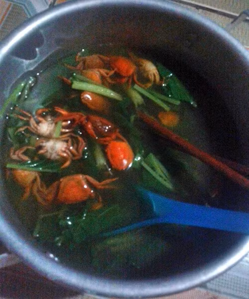 Ngày đầu về làm dâu. cuoi-te-ghe-24-11-tuyet-phm-ngay-dau-ve-lam-dau-7