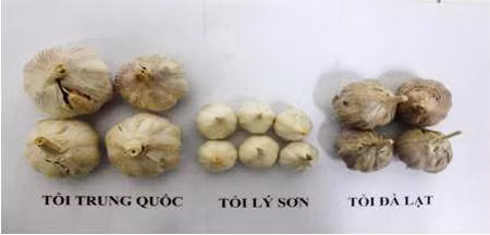 Mẹo phân biệt tỏi Việt Nam với tỏi Trung Quốc ảnh 1