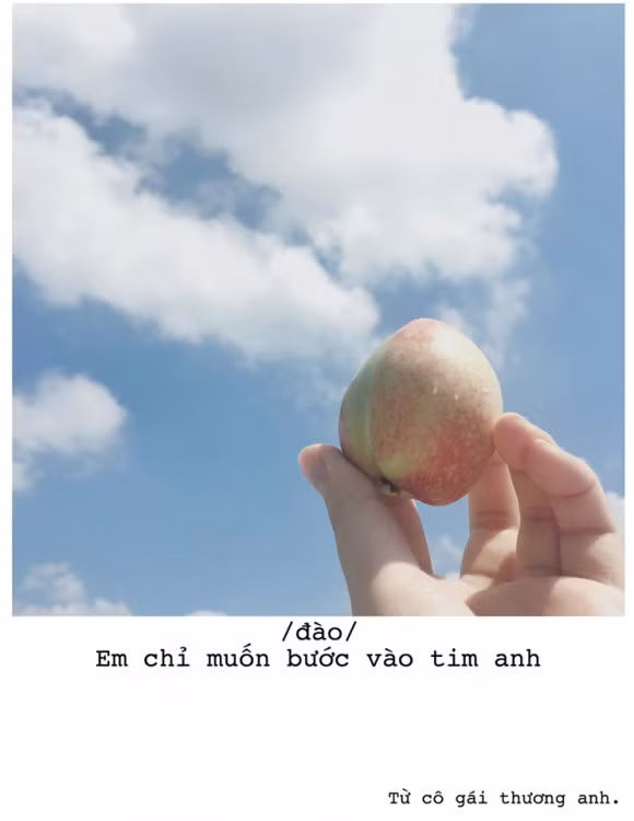 thả thính, trào lưu thả thính bằng trái cây, trào lưu thả thính