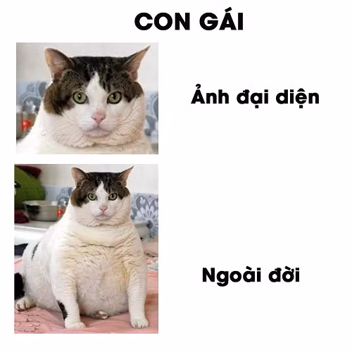 Thực trạng sống ảo của chị em phụ nữ thời nay.