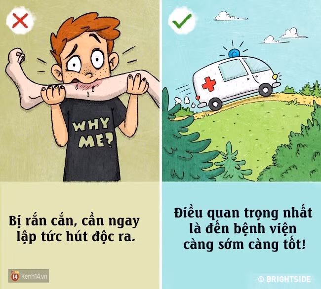 7 sự thật ít người biết này sẽ cứu mạng bạn vào một ngày nào đó trong đời - Ảnh 3. 7 sự thật ít người biết này sẽ cứu mạng bạn vào một ngày nào đó trong đời - Ảnh 3.