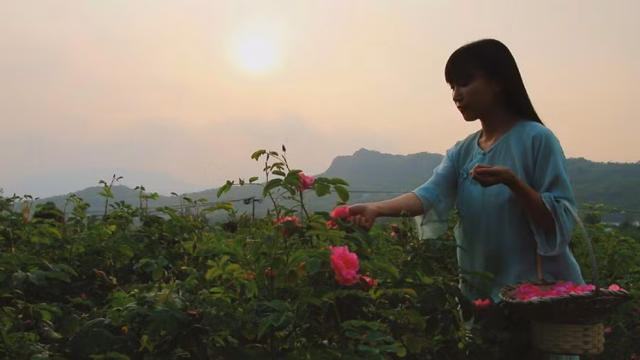 "Tiên nữ đồng quê" Lý Tử Thất: Đằng sau cuộc sống tiên cảnh vạn người ao ước là cuộc đời thăng trầm được xoa dịu bằng ẩm thực dân dã - Ảnh 4. "Tiên nữ đồng quê" Lý Tử Thất: Đằng sau cuộc sống tiên cảnh vạn người ao ước là cuộc đời thăng trầm được xoa dịu bằng ẩm thực dân dã - Ảnh 4.