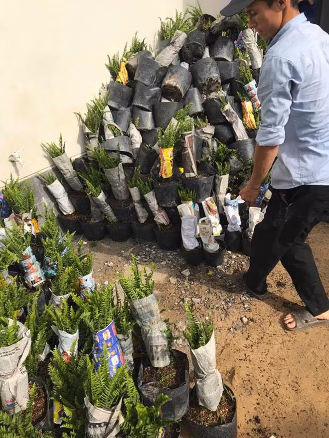 Hương Tràm lộ biệt thự sang chảnh sau tuyên bố bán nhà, bán xe lấy tiền đi học ảnh 4 Empty