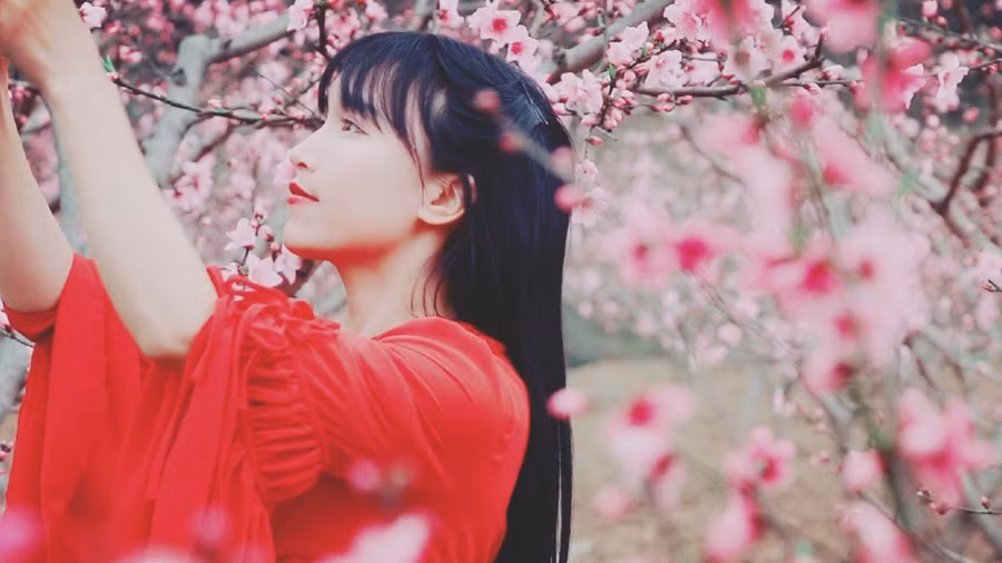 Sự thật phía sau cuộc sống tiên cảnh vạn người ao ước của “Tiên nữ đồng quê” Lý Tử Thất