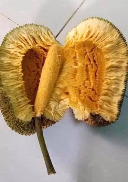 Anh đã tin lời em nói.