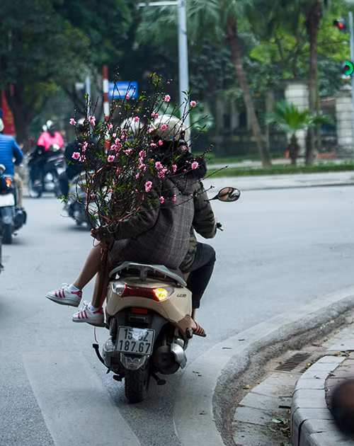 ... đón Xuân.