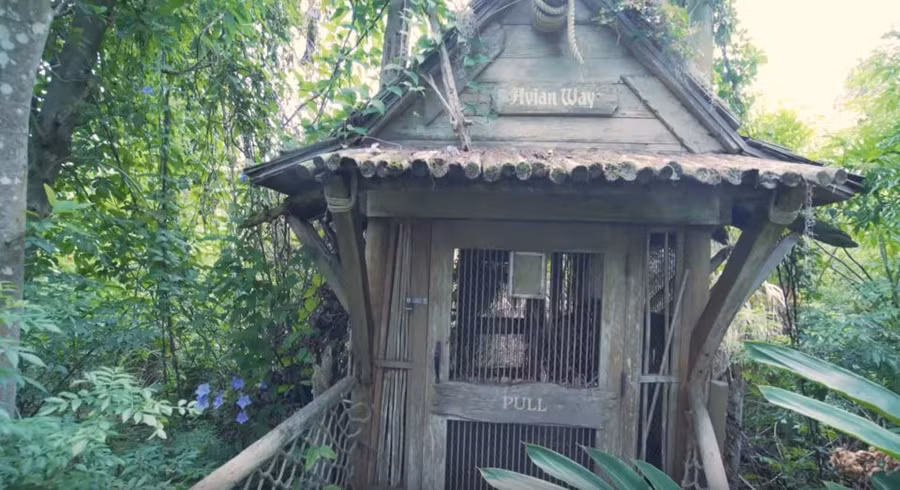 Can canh hon dao noi tieng cua Disney World bi bo hoang, do nat hinh anh 13 