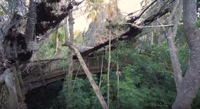 Can canh hon dao noi tieng cua Disney World bi bo hoang, do nat hinh anh 14 
