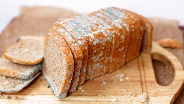 Aflatoxin là một chất gây ung thư mạnh và có thể ảnh hưởng đến tất cả các cơ quan trong cơ thể, đặc biệt là gan và thận.