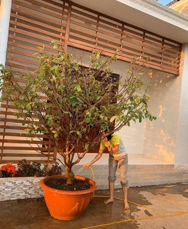 Trước đó, từ cuối năm 2019, H'Hen Niê quyết định đập đi một số căn phòng cũ để sửa lại căn nhà cấp 4 đã xuống cấp.