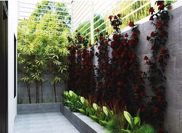 Thiết kế sân vườn nhỏ đẹp, đơn giản theo phong cách Châu Âu hiện đại.