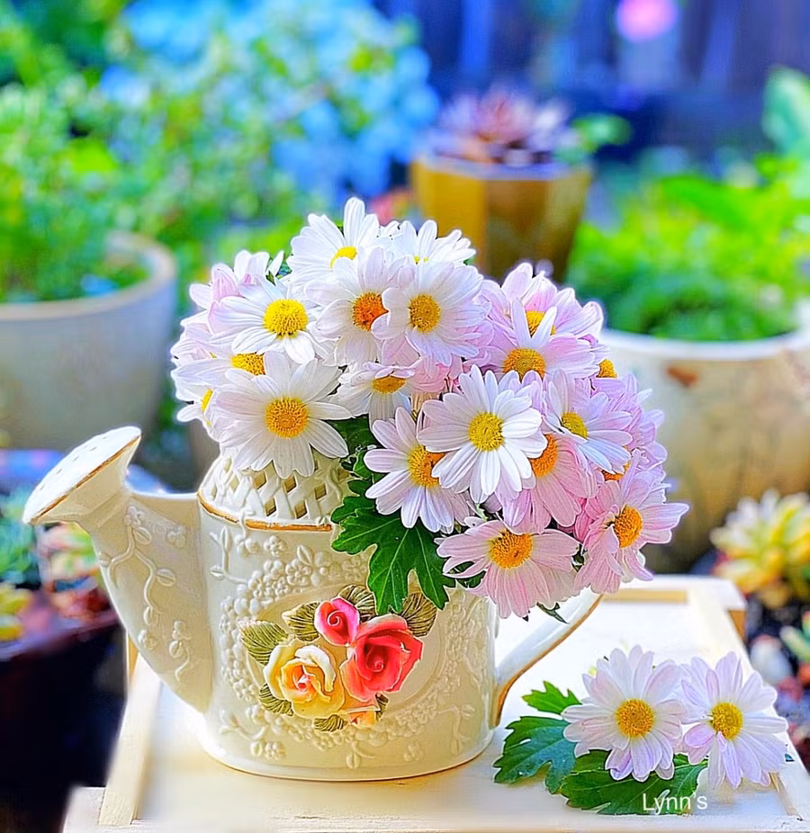 Chị Lynn Lê yêu thích và cắm nhiều loài hoa. Chị dành cả một mảnh vườn rộng trồng hoa để thỏa mãn niềm đam mê bất tận và để cho "vui cửa vui nhà".