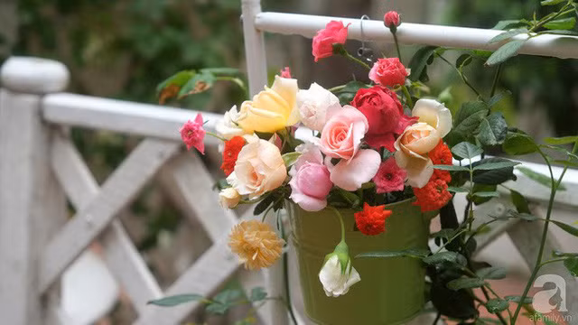  Góc hàng rào đẹp mê mẩn với cách cắm hoa tự nhiên. 
