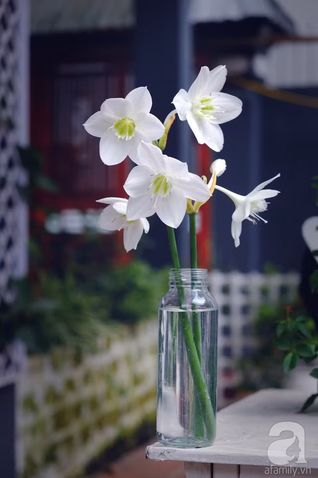  Bất kỳ loài hoa nào cũng đẹp duyên dáng nhờ bàn tay khéo léo của anh. 