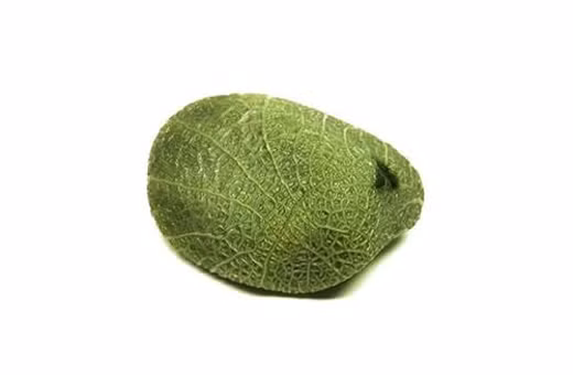 Bề mặt của một vài hòn đá loại này&nbsp;nhìn từ xa như gân của những chiếc lá.
