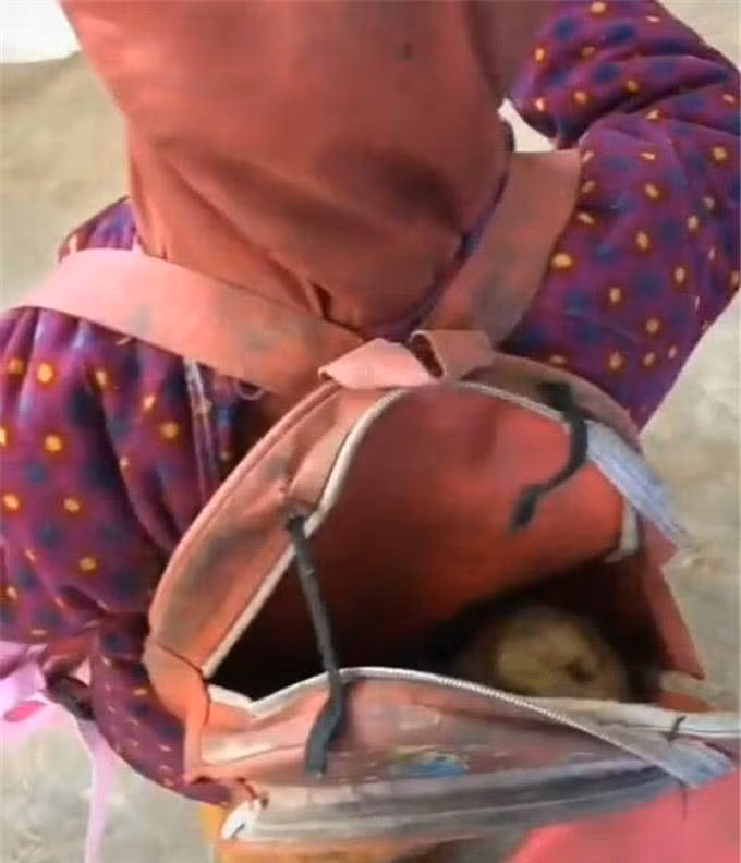 tang chiec cap moi cho be gai ngheo, co giao bat khoc khi nhan lai mon qua tu be - 3