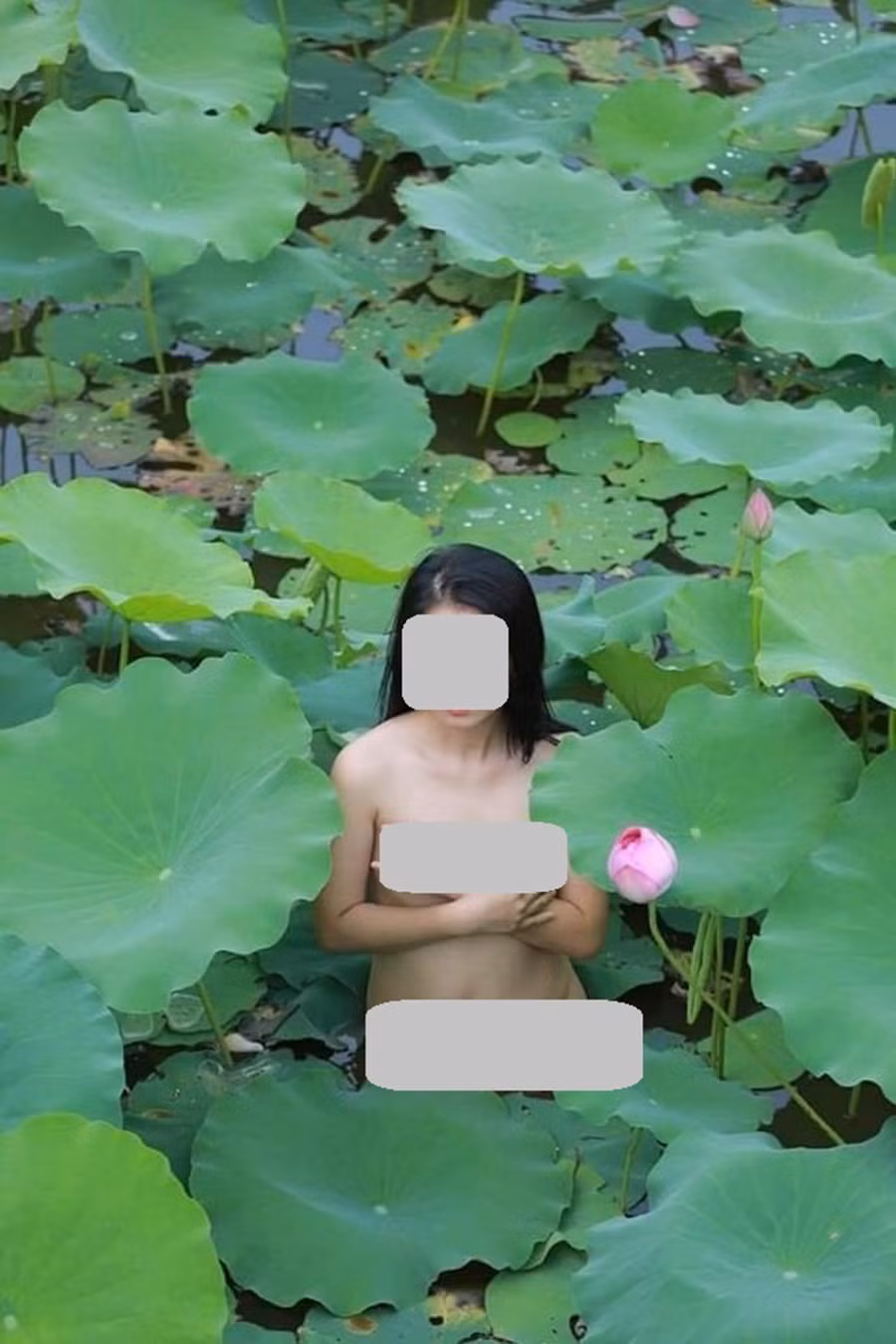 Một trong những bức hình phản cảm dưới hồ sen đang lưu truyền trên mạng của một cô gái trẻ Việt Nam