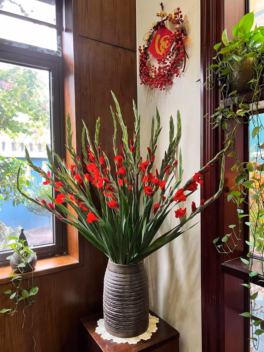 Một bình dơn đỏ không thể thiếu trong ngày Tết truyền thống. Một bình dơn đỏ không thể thiếu trong ngày Tết truyền thống.