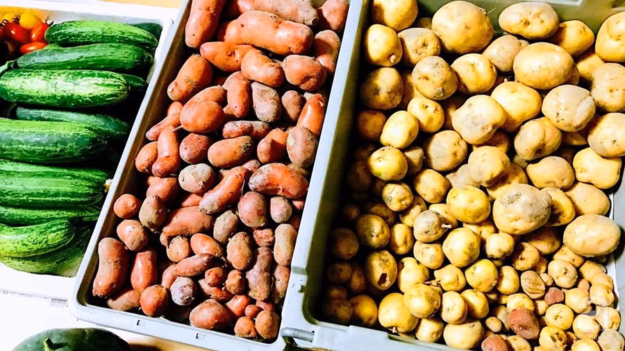 Mướt mắt khu vườn nhỏ phủ kín rau quả sạch của nàng dâu Việt ở Nhật Bản ảnh 17