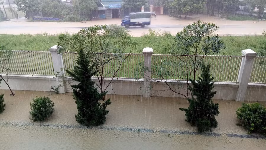 Thái Bình: 30.000 ha lúa mùa bị tàn phá do mưa lũ ảnh 2
