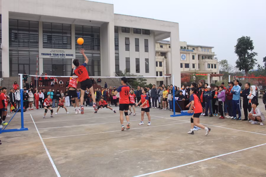 Giải thể thao thu hút đông đảo cán bộ, viên chức người lao động và sinh viên Đại học Thái Nguyên tham dự.