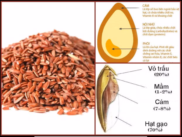 Ăn gạo lứt, muối vừng có giúp cơ thể chống lại bệnh ung thư? 1